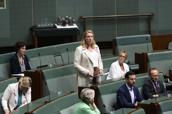 Member for North Sydney Kylea Tink said she received several letters of co<em></em>ncern from the community a<em></em>bout Hard Solo.